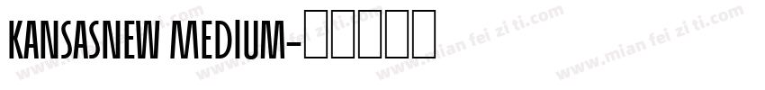KansasNew Medium字体转换